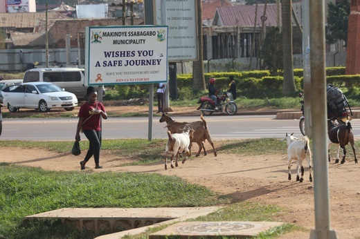 U Królowej Pokoju w Kampali