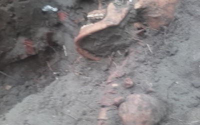 Odnaleziono drugie szczątki obrońcy Westerplatte.