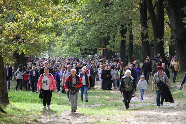 12. Pielgrzymka Rodzin Diecezji Bielsko-Żywieckiej do Kalwarii Zebrzydowskiej - 2019, cz. 1