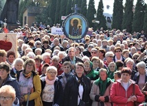 Do Domaniewic przybyły róże różańcowe z ponad 70 parafii.