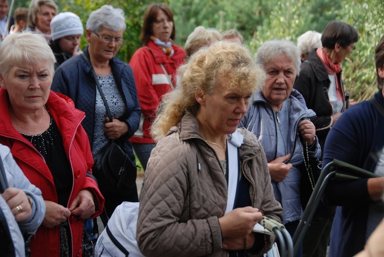 XV Pielgrzymka Kół Żywego Różańca do Domaniewic