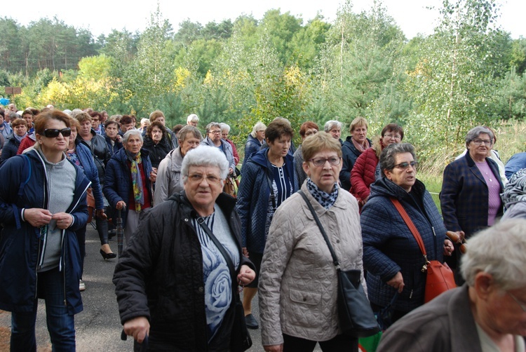 XV Pielgrzymka Kół Żywego Różańca do Domaniewic