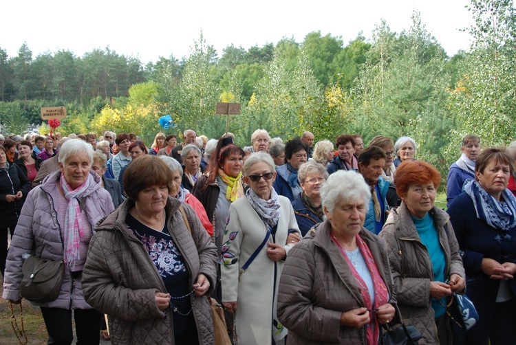 XV Pielgrzymka Kół Żywego Różańca do Domaniewic