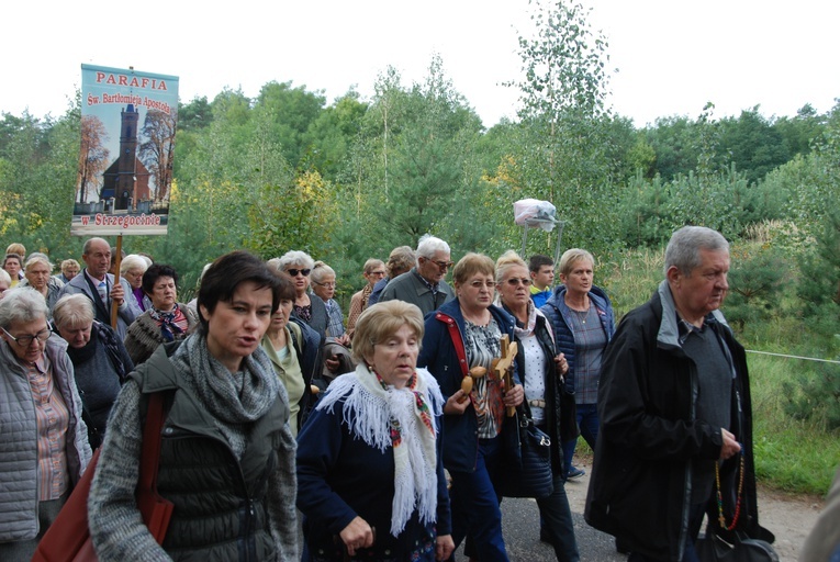 XV Pielgrzymka Kół Żywego Różańca do Domaniewic