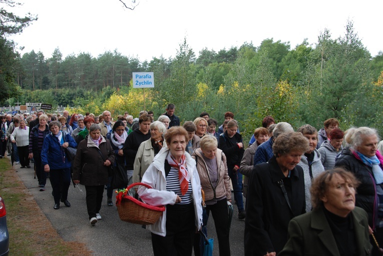 XV Pielgrzymka Kół Żywego Różańca do Domaniewic