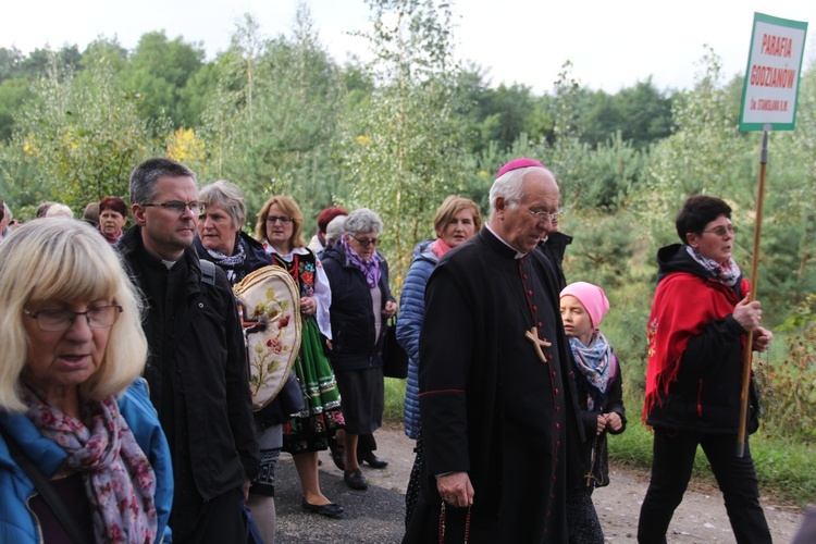 XV Pielgrzymka Kół Żywego Różańca do Domaniewic