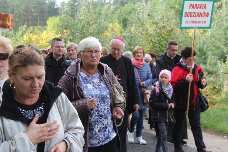 XV Pielgrzymka Kół Żywego Różańca do Domaniewic