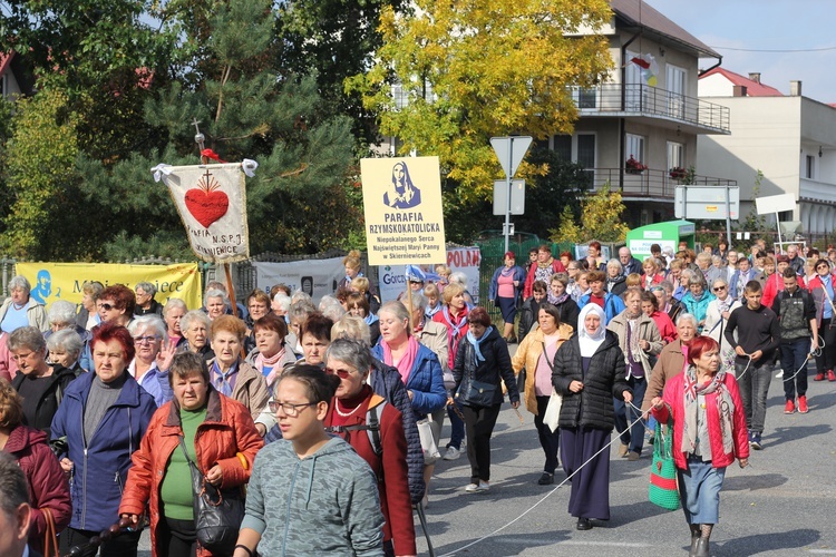 XV Pielgrzymka Kół Żywego Różańca do Domaniewic