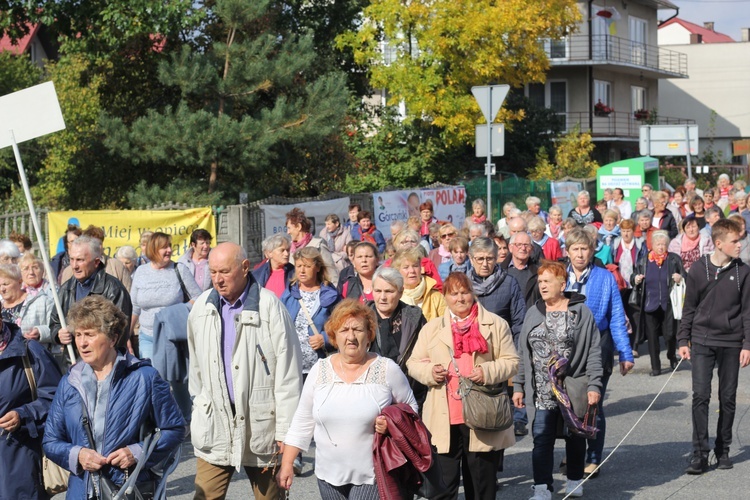 XV Pielgrzymka Kół Żywego Różańca do Domaniewic