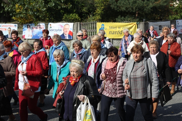 XV Pielgrzymka Kół Żywego Różańca do Domaniewic