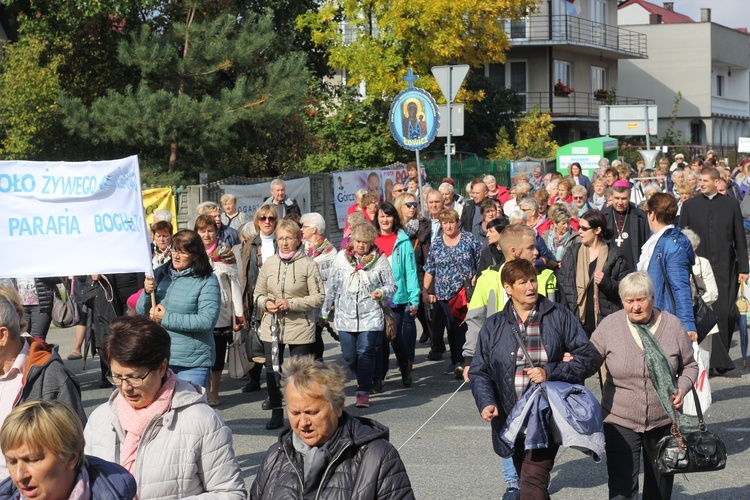 XV Pielgrzymka Kół Żywego Różańca do Domaniewic