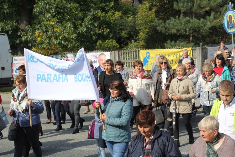 XV Pielgrzymka Kół Żywego Różańca do Domaniewic