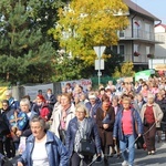 XV Pielgrzymka Kół Żywego Różańca do Domaniewic