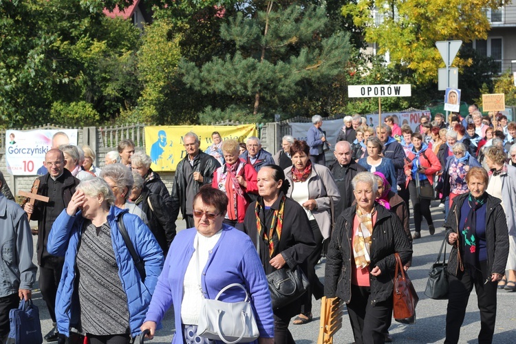 XV Pielgrzymka Kół Żywego Różańca do Domaniewic