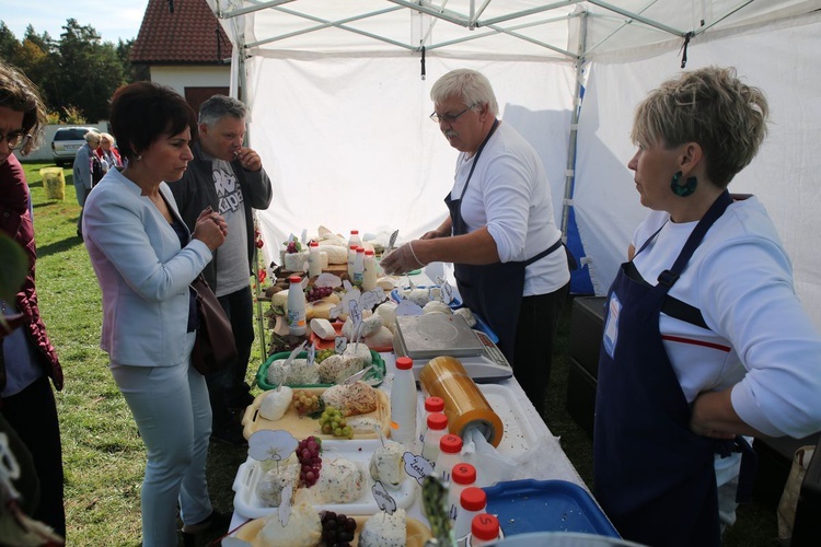 Leśna Apteka w Rytwianach 