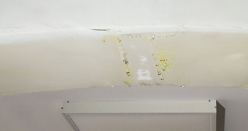 Dewastacja Domu Samotnej Matki w Koszalinie