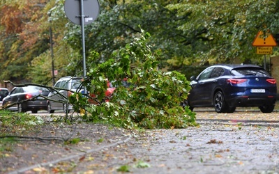 295 tys. odbiorców bez prądu, najwięcej w woj. mazowieckim