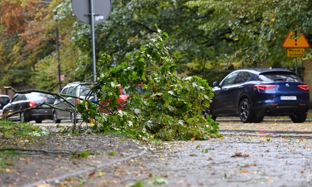 295 tys. odbiorców bez prądu, najwięcej w woj. mazowieckim