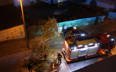 Strażacy usunęli w Radomiu m.in. brzozę przewróconą przez wichurę przy ul. Kanałowej.