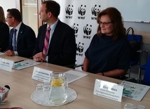 Katowice i WWF Polska wspólnie dla środowiska. Ekologiczny program ma być wzorem dla innych miast