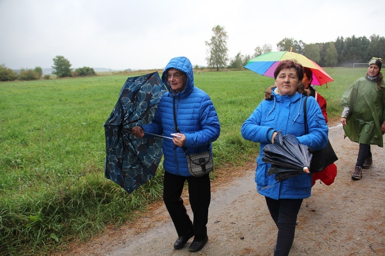 Pielgrzymka jadwiżańska z Brzegu Dolnego do Łososiowic