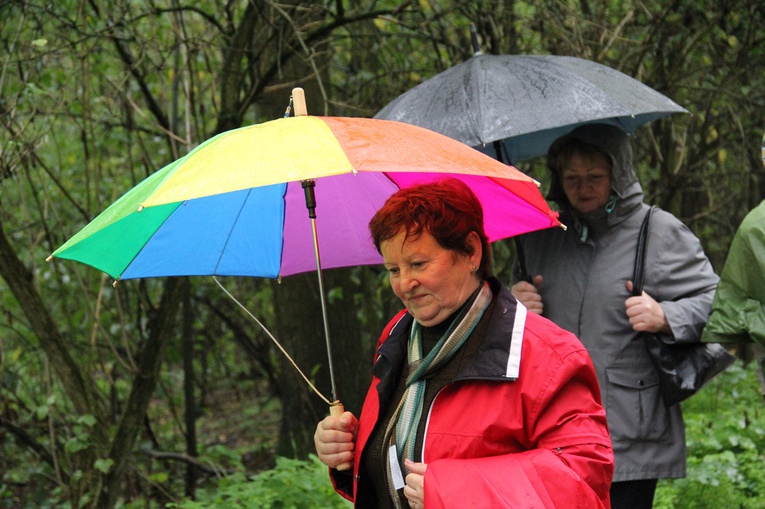 Pielgrzymka jadwiżańska z Brzegu Dolnego do Łososiowic
