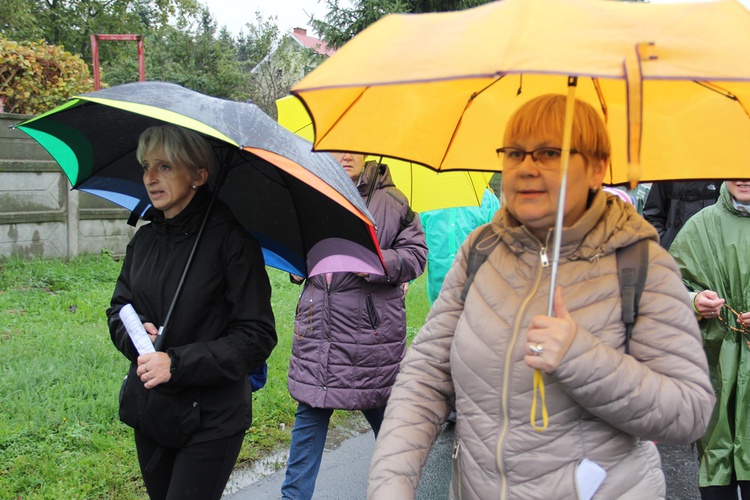 Pielgrzymka jadwiżańska z Brzegu Dolnego do Łososiowic