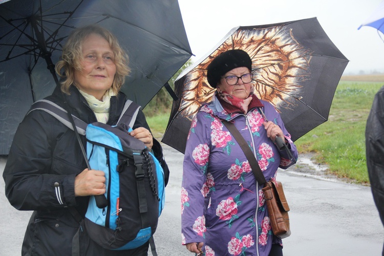 Pielgrzymka jadwiżańska z Brzegu Dolnego do Łososiowic