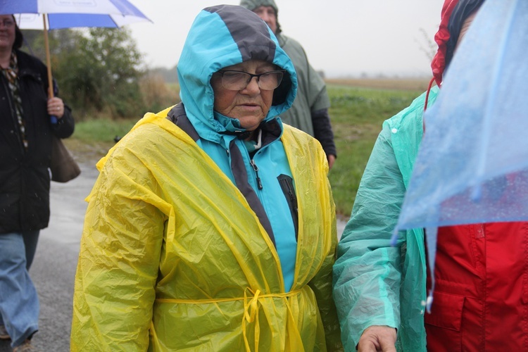 Pielgrzymka jadwiżańska z Brzegu Dolnego do Łososiowic