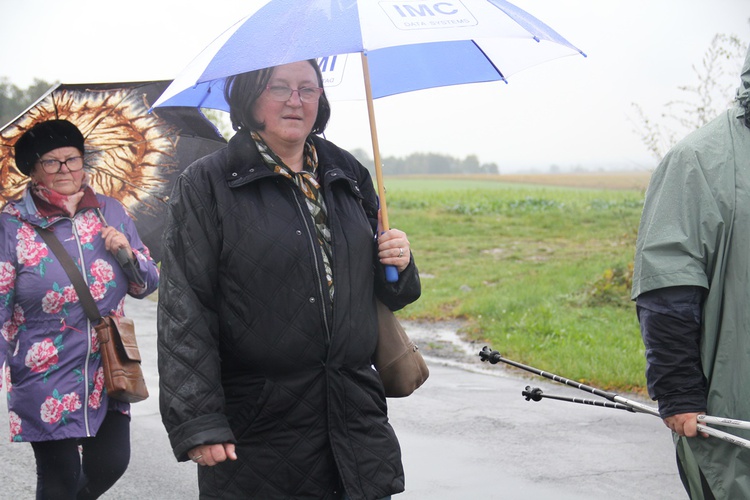 Pielgrzymka jadwiżańska z Brzegu Dolnego do Łososiowic