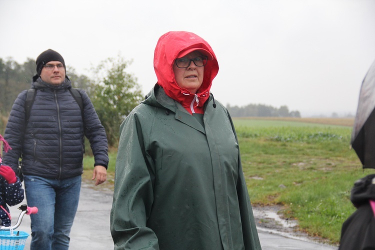 Pielgrzymka jadwiżańska z Brzegu Dolnego do Łososiowic