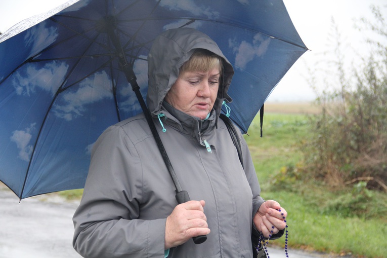 Pielgrzymka jadwiżańska z Brzegu Dolnego do Łososiowic