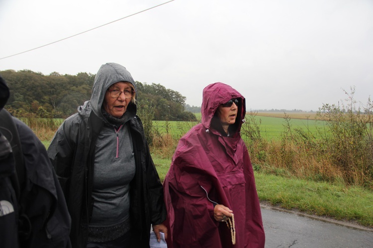 Pielgrzymka jadwiżańska z Brzegu Dolnego do Łososiowic