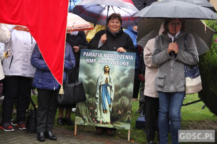 Pielgrzymka Róż Żywego Różańca do Rokitna