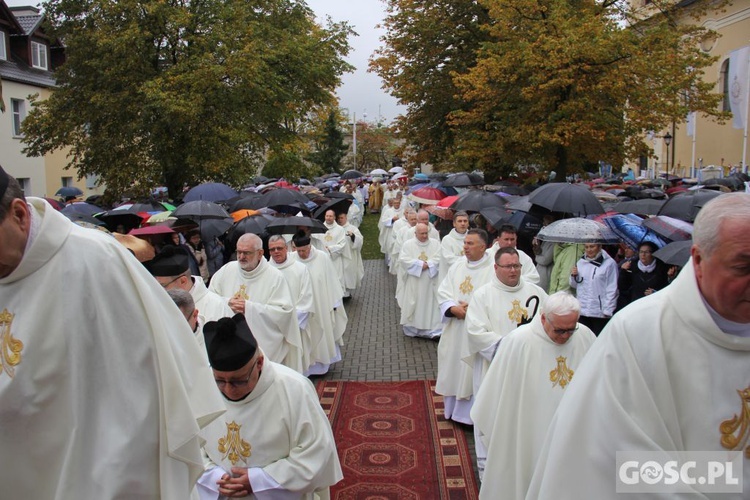 Pielgrzymka Róż Żywego Różańca do Rokitna