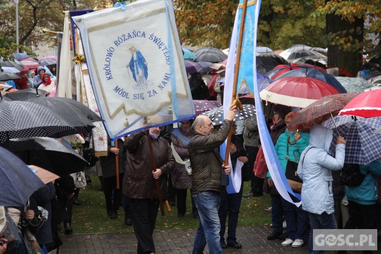 Pielgrzymka Róż Żywego Różańca do Rokitna