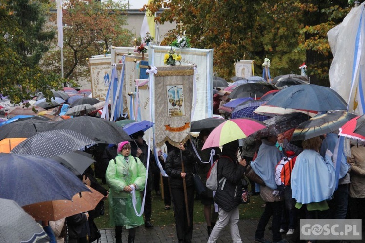 Pielgrzymka Róż Żywego Różańca do Rokitna