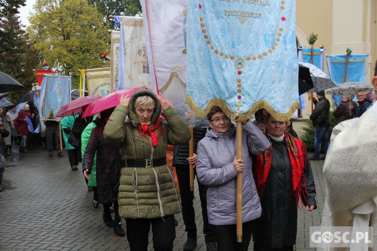 Pielgrzymka Róż Żywego Różańca do Rokitna