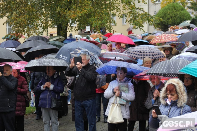 Pielgrzymka Róż Żywego Różańca do Rokitna