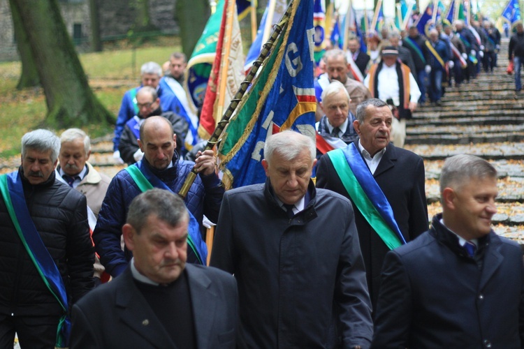 Pielgrzymka hodowców gołębi i orkiestr kalwaryjskich