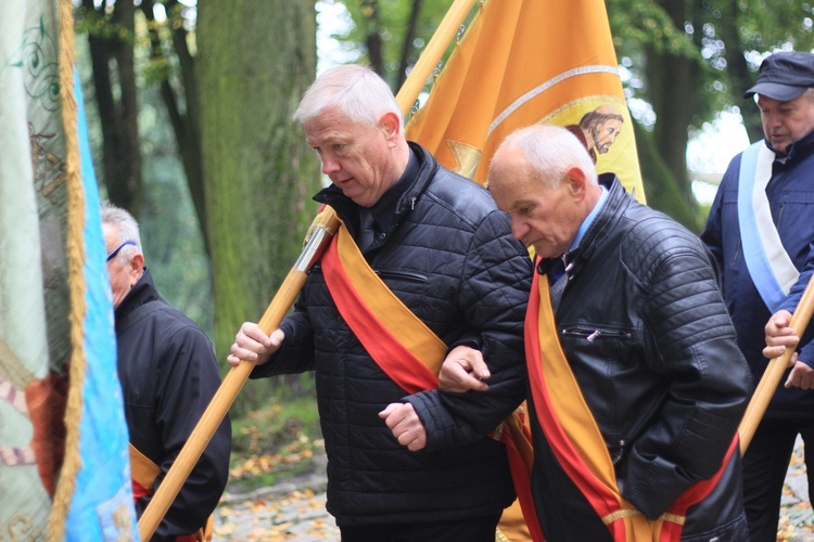 Pielgrzymka hodowców gołębi i orkiestr kalwaryjskich