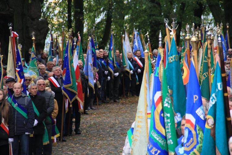 Pielgrzymka hodowców gołębi i orkiestr kalwaryjskich