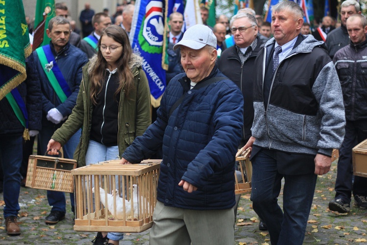 Pielgrzymka hodowców gołębi i orkiestr kalwaryjskich