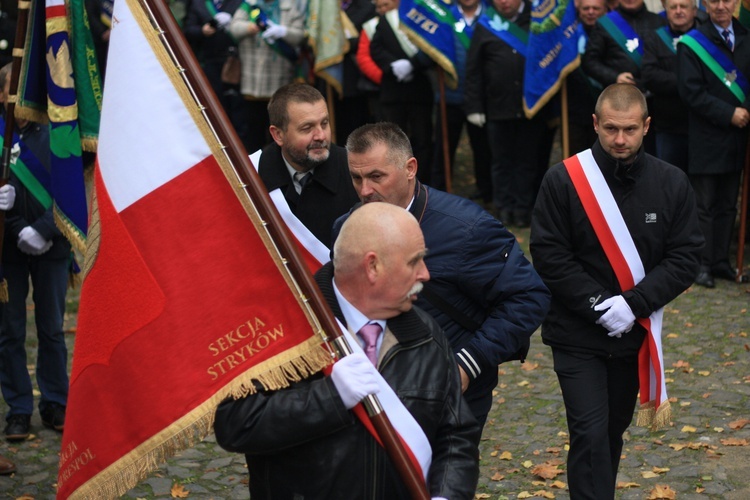 Pielgrzymka hodowców gołębi i orkiestr kalwaryjskich