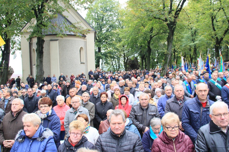 Pielgrzymka hodowców gołębi i orkiestr kalwaryjskich