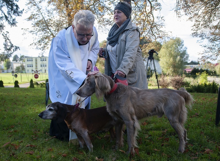 Błogosławieństwo zwierząt