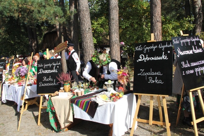 Festiwal Ziemniaka w MWR