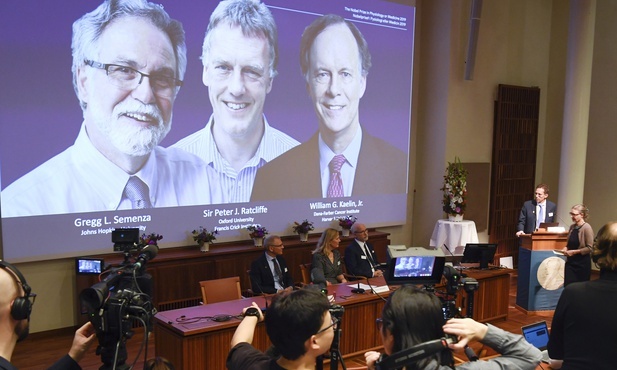 Nobel z fizjologii i medycyny za odkrycie, jak komórki adaptują się do stężenia tlenu
