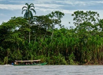 Amazonia