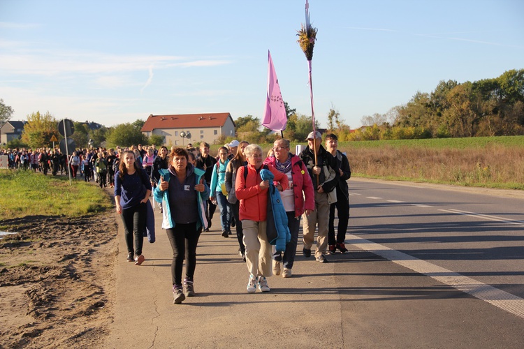 Pielgrzymka trzebnicka 2019 - cz. 3